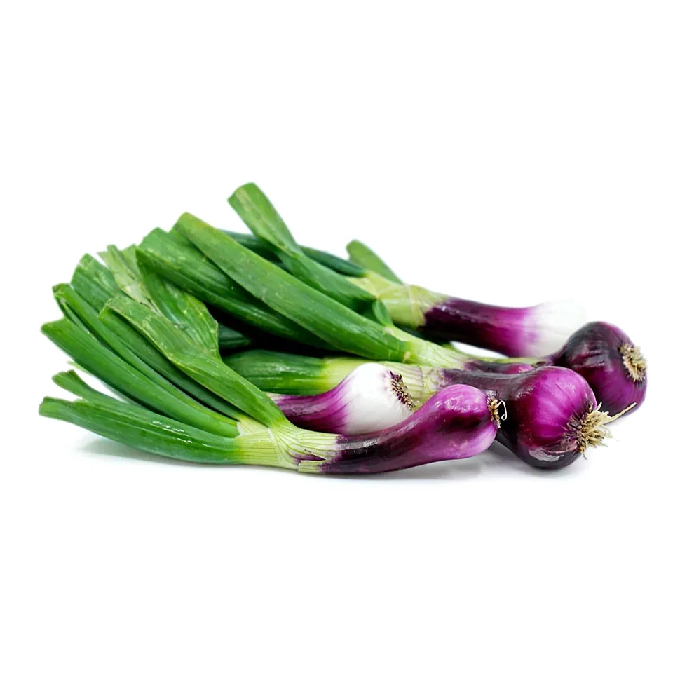 Red spring onion