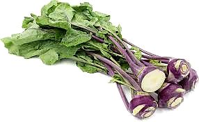 Green/Purple Kohlrabi