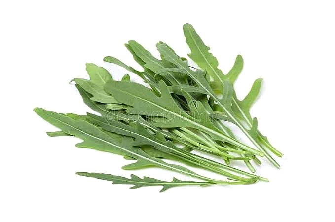 Wild Rocket