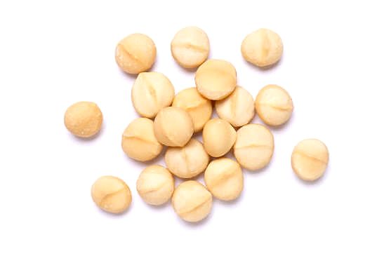 Macadamia nuts