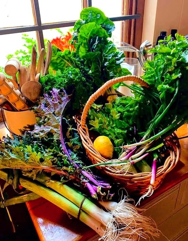Veg Bag 1