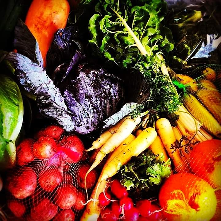 Veg Bag 3