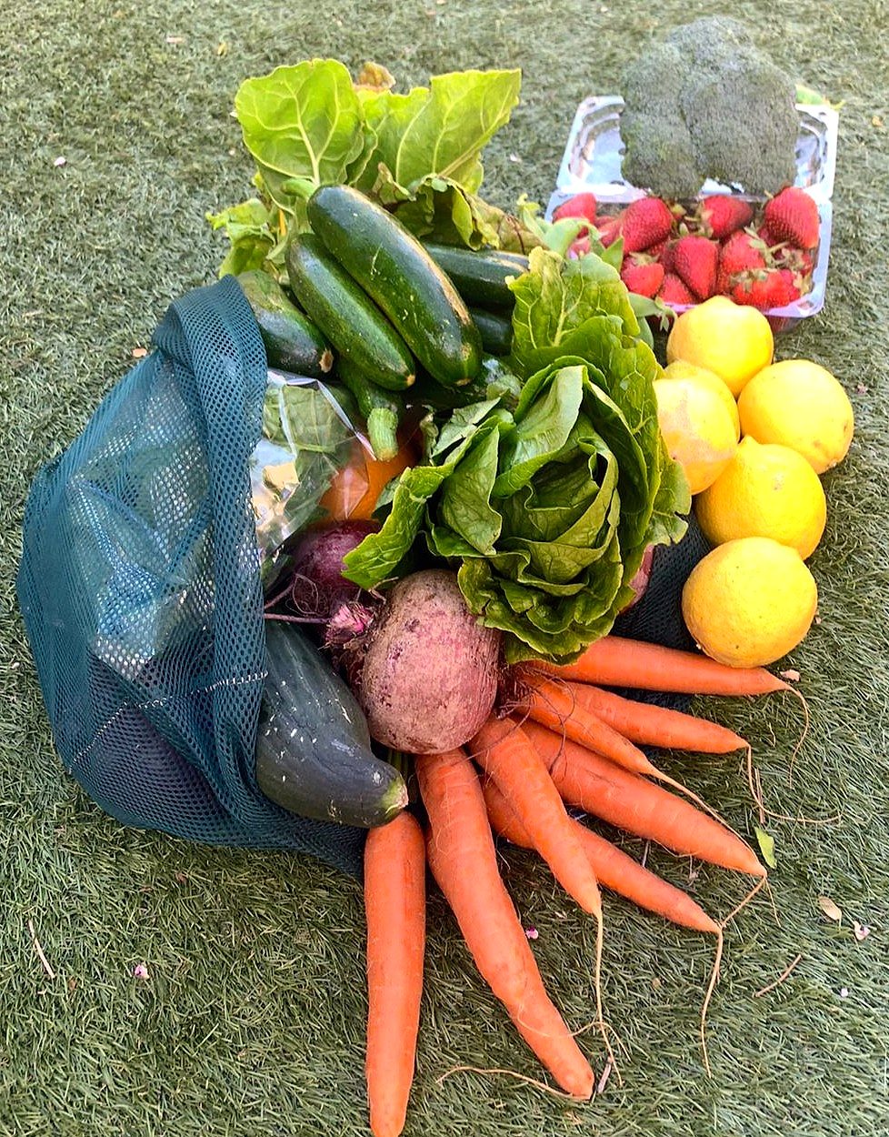 Veg Bag 2